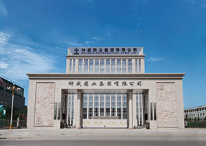 神威药业集团有限公司