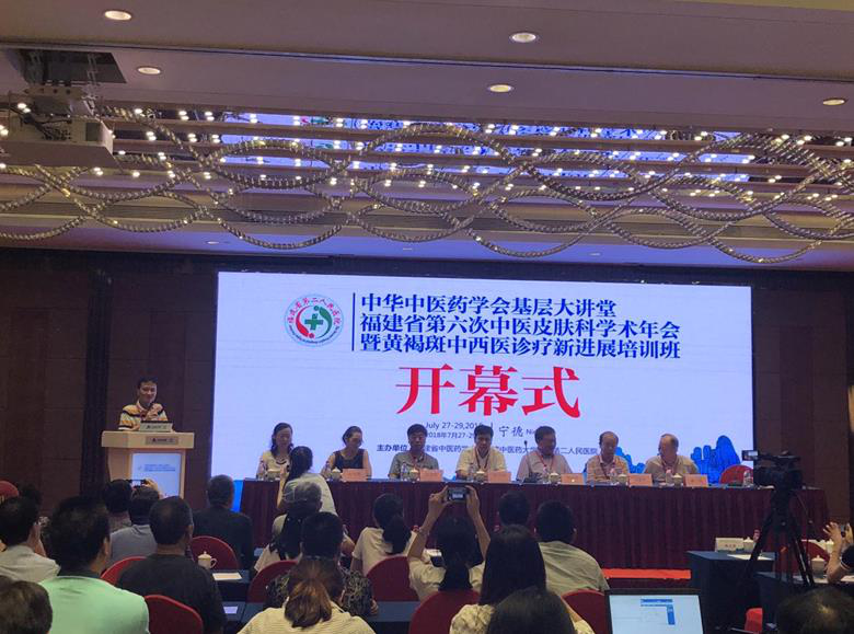 中华中医药学会基层大讲堂暨福建省第六次中医皮肤科学术年会,黄褐斑